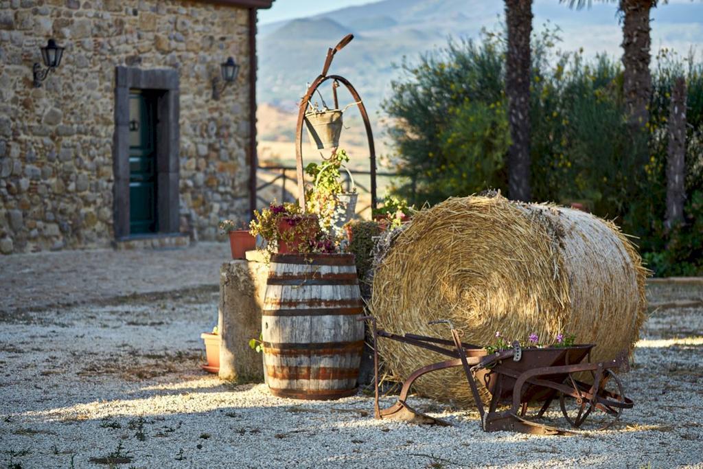 Agriturismo Conte Ruggero Alloggio per agriturismo *